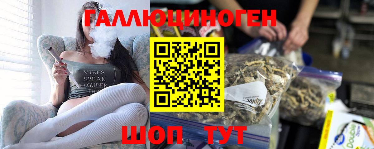 Псилоцибиновые грибы Psilocybe  купить  цена  Удомля  Вход с VPN 